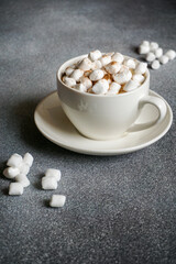 Fototapeta na wymiar cup of coffee and marshmallows