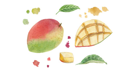 Tropical mango fruit whole, piece of fruit, colored splashes, leaves. Watercolor illustration.