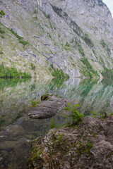 Obersee