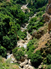 Schlucht von Ronda mit Bach