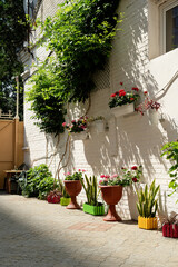 Colorfull floral street with white brick wall in Mediterranean town