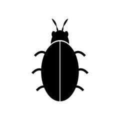 A beetle from the Coleoptera family is black on a white background.