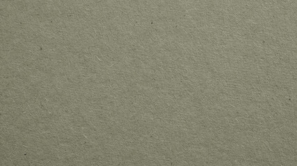 The surface of gray cardboard. Paper texture with cellulose fibers. Paperboard wallpaper. Background with a generic gray tint. Textured glamorous and graceful backdrop. Top-down. Macro