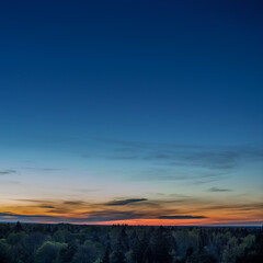 Obraz premium sunset over the forest