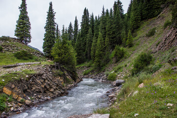 Moutain river with clear water and rapid flow. Beautiful natural scenery. Tekes river in Kazakhstan.