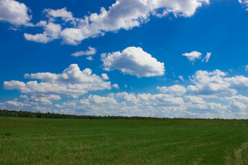 Landscape photography White clouds against a blue sky. Green field with forest