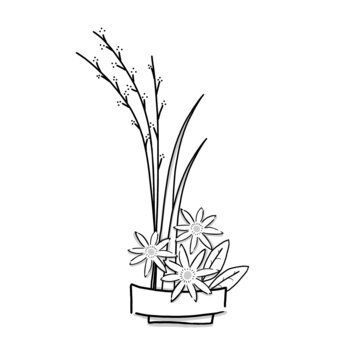 Japanese Ikebana illustration. Hand drawn sketch. Japanese plants and flower. Vector illustration of Japanese Ikebana art flower icon. Graphic design elements. Isolated objects. 