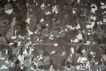 Wall (ceiling) after a fire. Everything is covered in soot.