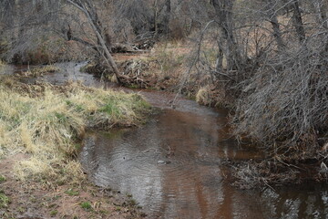 Red Rock State Park in Sedona Arizona