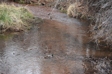 Red Rock State Park in Sedona Arizona