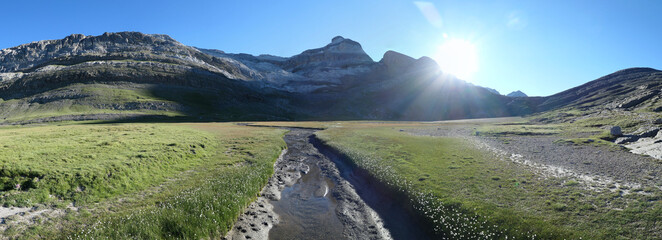 Fototapete bei efototapeten.de bestellen   