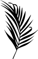 set of black and white feathers