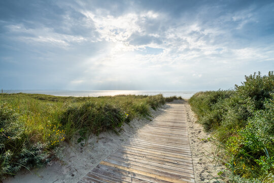 Wooden boardwalk near the beach 