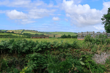 Fototapeta na wymiar A scenic view of the fields and meadows in Slapton