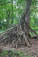 Hand built kids fort made out of tree branches and create a secret hideaway.