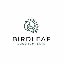 Fototapeta premium Flying Dove Pigeon Bird with Leaf Wings for Vintage Nature Wildlife Label Logo Design