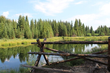 fence and lake