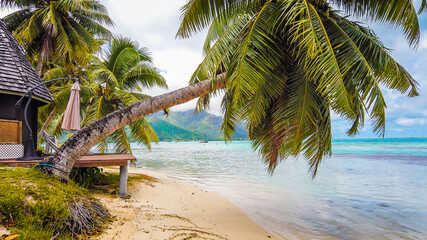 Fototapeta na wymiar Moorea island stunning beautiful beaches, white sand, clear turquoise water, blue lagoons, Tahiti, Moorea, French Polynesia, Pacific islands