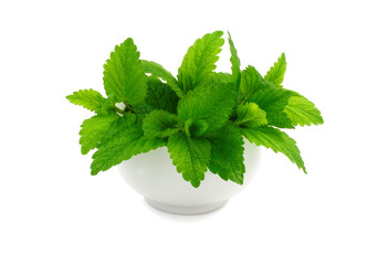 Lemon balm (Melissa Officinalis) Fresh Herbal Leaves in a Bowl. Isolated on White.