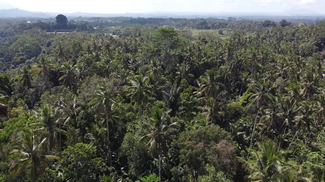 Bali, Indonesia - Drone Aerial Chinese Cemetery and Koncho Kongco Monastery The Oldest in Bali