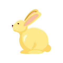 cute rabbit animal
