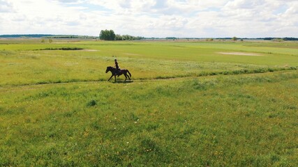 Horse rider in a beautiful farm field during the daytime. Woman riding on the back of a seal brown horse. Field meadows. Cloudy sky in the background. A dandelion field in the foreground. © CameraCraft