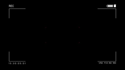 Rec or recording video Screen Animation. Camera rec viewfinder with digital focus and exposure settings. 4K camera video viewfinder. Green screen. Camcorder Camera Overlay Background.