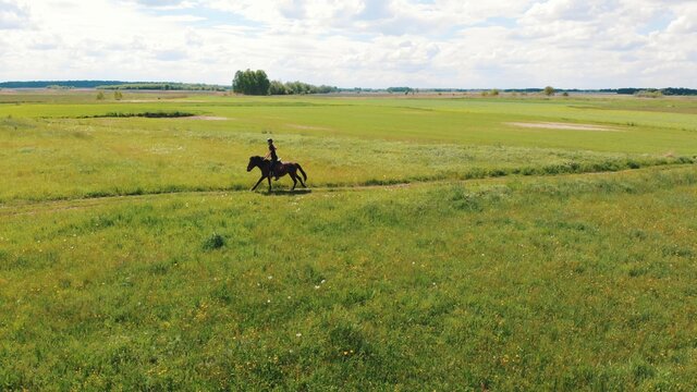 Horse rider in a beautiful farm field during the daytime. Woman riding on the back of a seal brown horse. Field meadows. Cloudy sky in the background. A dandelion field in the foreground.