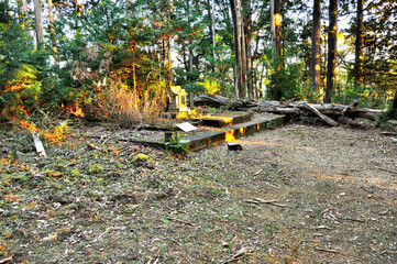 奥武蔵　朝日射し込む名栗金比羅山跡