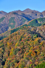 奥武蔵の大ヨケノ頭より紅葉の山肌に奥多摩を望む　奥武蔵　大ヨケノ頭より蕎麦粒山（火打石山）