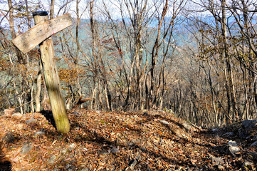 奥武蔵の道　蕨山の登山道