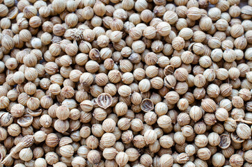 Top view of dry organic  coriander seed background for food ingredient or seasoning concept