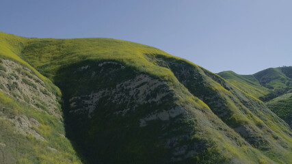 Green flowery Field Blue Sky Malibu, Santa Monica Mountains, Agoura Hills, Calabasis Aerial