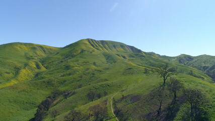 Green flowery Field Blue Sky Malibu, Santa Monica Mountains, Agoura Hills, Calabasis Aerial