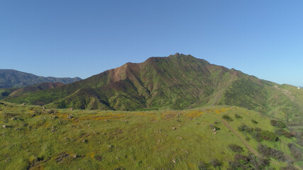 Green flowery Field Blue Sky Malibu, Santa Monica Mountains, Agoura Hills, Calabasis Aerial