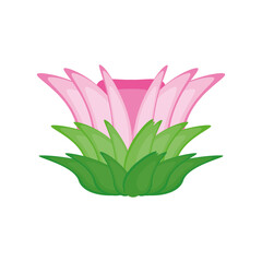 natural lotus flower