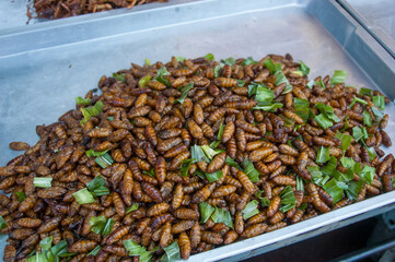 Bizarre foods I ate in Thailand.