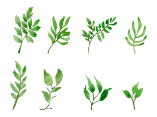 watercolor leaf separated vector set