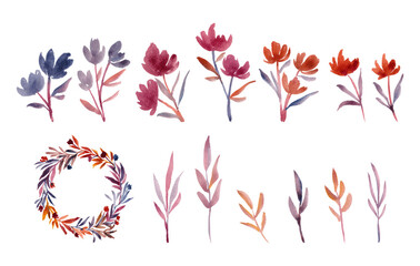 Watercolor flower isolated element