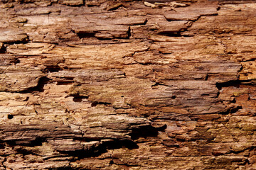 wood texture for background