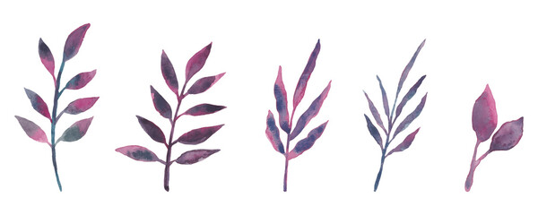 lilac watercolor leaf separated vector set