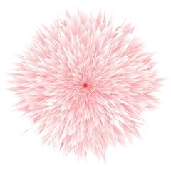 Illustration of flowers or feathers in pink tones isolated on white background. Bloom from the middle