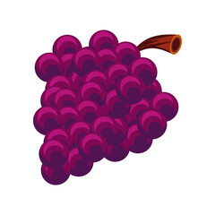 grapes fruit icon