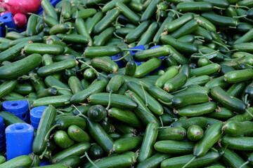 Fresh vegetables for sale Fruit market, selective focus. Red tomatoes and green cucumbers for selling or buying. It is called 