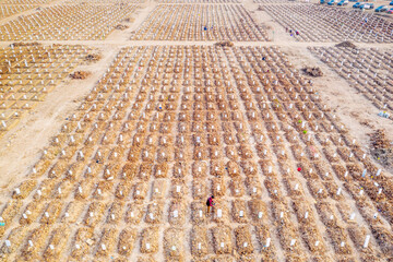 Crowded graves of Covid-19 victims at Rorotan