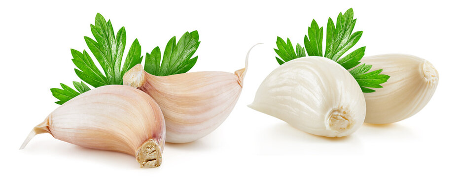 Garlic isolated on white background
