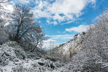Landscape of the Poqueira ravine after an intense snowfall.