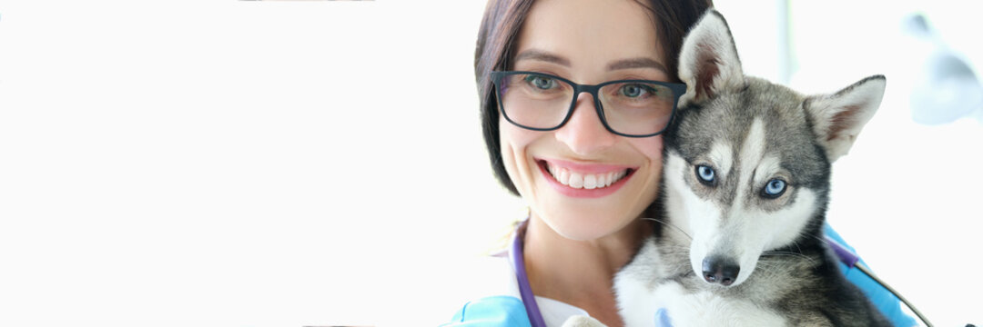 Woman veterinarian holding dog with blue eyes against pet clinic background