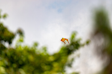 Colourful kite flying above the trees 