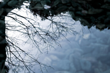 秋の公園の水面